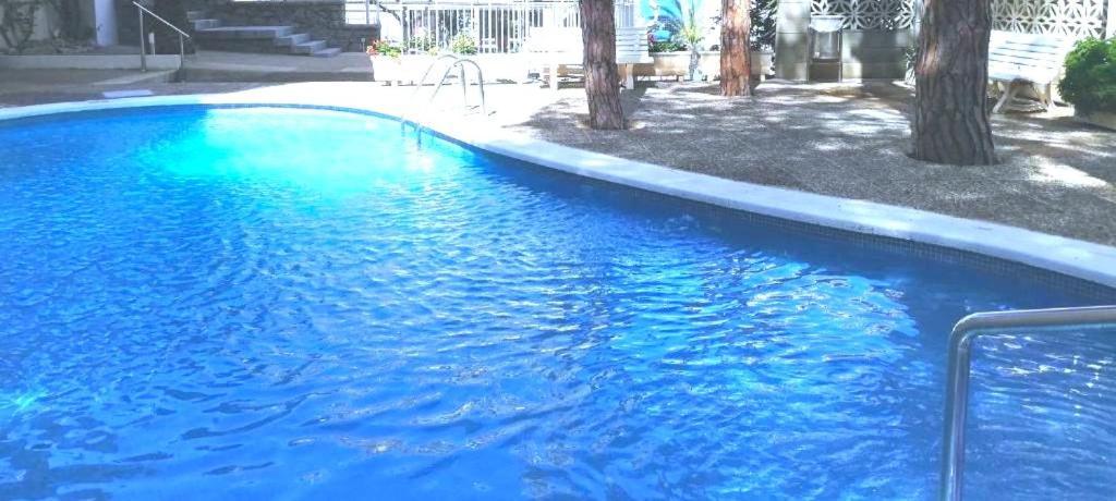 Appartement Paradis & Center